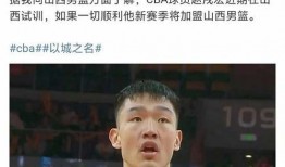 中国篮球队爆料新闻视频,揭秘训练幕后与赛场风云